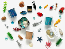 Load image into Gallery viewer, Coral Reef Beach Playdough Kit Canada Non Toxic Sensory Montessori kit