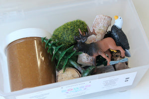 Into the Wild Mini Sensory Kit