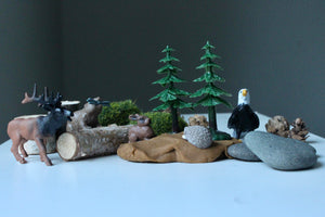 Into the Wild Mini Sensory Kit