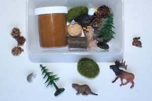 Into the Wild Mini Sensory Kit