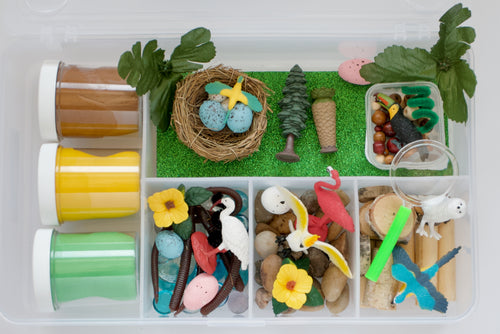 Safari exotic birds sensory kit playdough canada non toxic homemade kit loose parts educational toys
