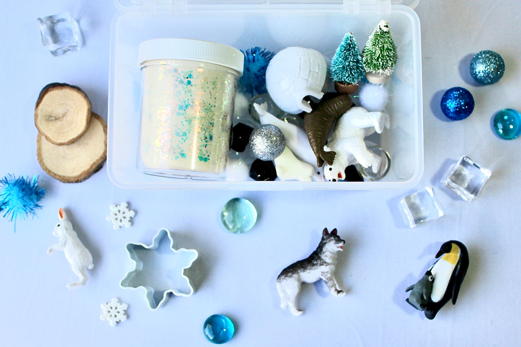Arctic Adventure Mini Playdough Sensory Kit