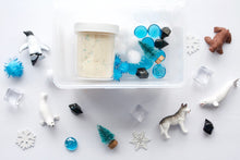 Load image into Gallery viewer, Mini Arctic Adventure Playdough Sensory Kit
