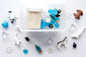 Mini Arctic Adventure Playdough Sensory Kit