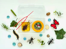 Load image into Gallery viewer, Bug Hunt Collecting Playdough Kit Safari Bugs Magnifying Glass Tweezers Sensory Play Dough
