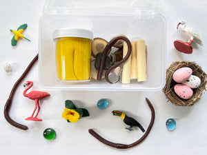 Exotic Birds Playdough Kit Non Toxic Canadian Sensory Play