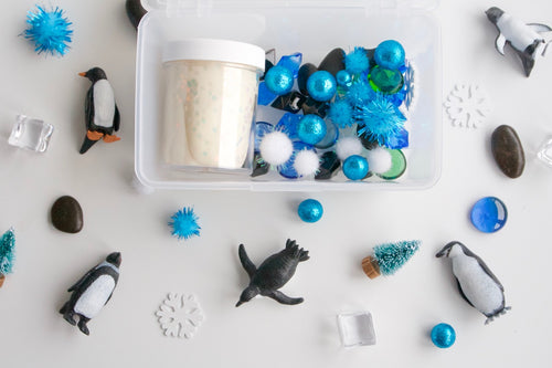 Penguin Playdough Sensory Kit Arctic Animals Non-toxic Canada Scented Dough